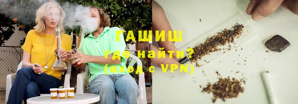 сатива Сатка