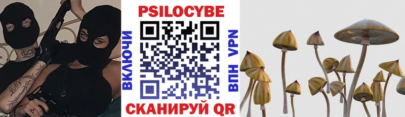 даркнет как зайти  цены наркотик  Вязьма  Псилоцибиновые грибы Cubensis 